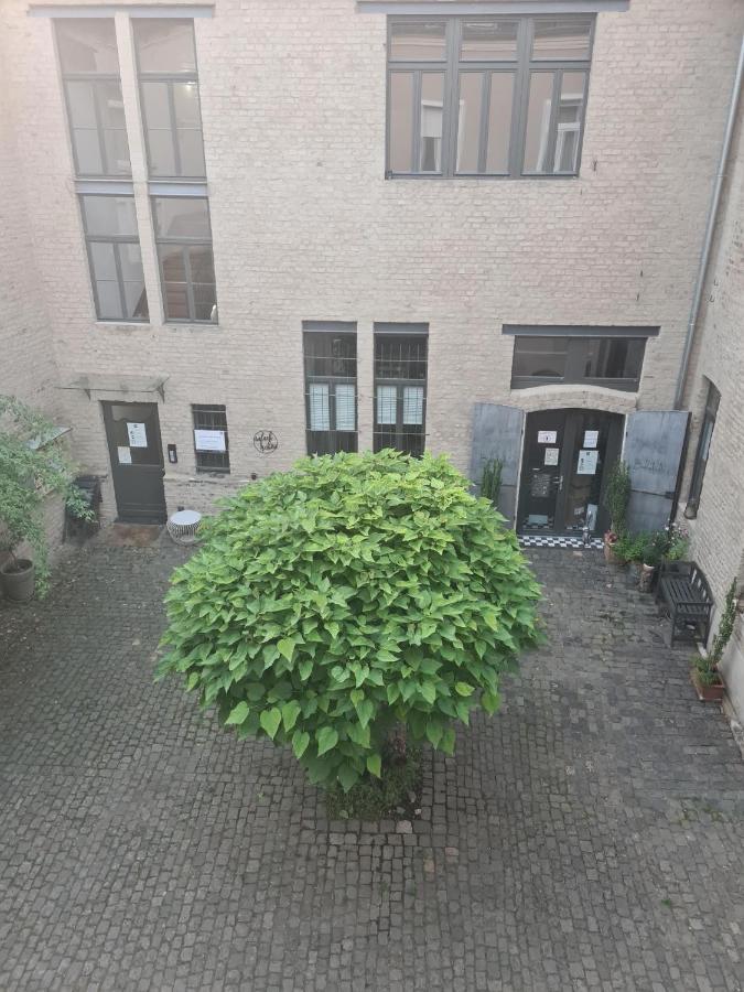 Loftapartment Im Historischen Fabrikambiente Geisenheim Luaran gambar
